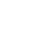 Mission Icon